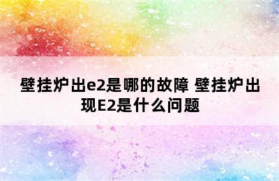 壁挂炉出e2是哪的故障 壁挂炉出现E2是什么问题